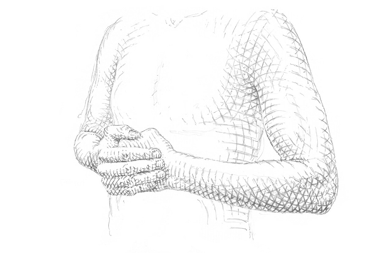 Shashu hand position